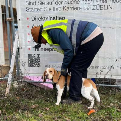 Hundetreffen-Mantrailing private Gruppe-Bild