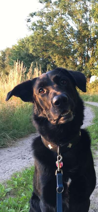 Lustige Grimassen & verrückte Posen-Beitrag-Bild