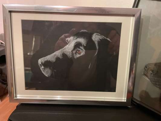 Labradorfans-Beitrag-Bild