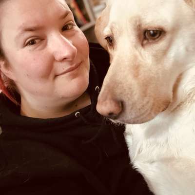 Hundetreffen-Gemeinsam spielen