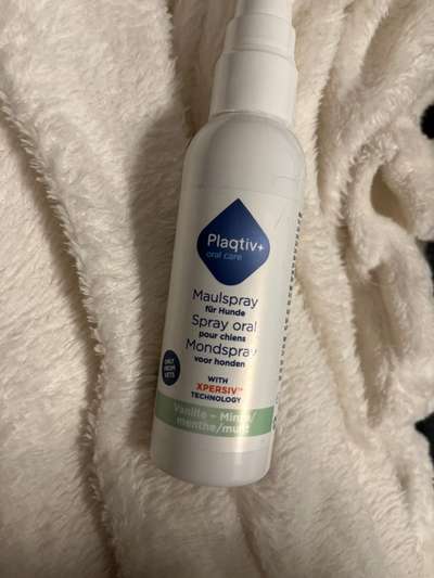 Zahnreinigungsspay-Beitrag-Bild