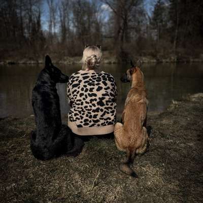 Hundetreffen-Hundetraining oder auch Spiel und Spaß.-Bild