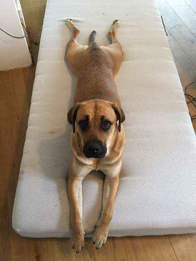 Challenge Nr 14
Eure Fellnasen auf ihrem Lieblingsplatz-Beitrag-Bild