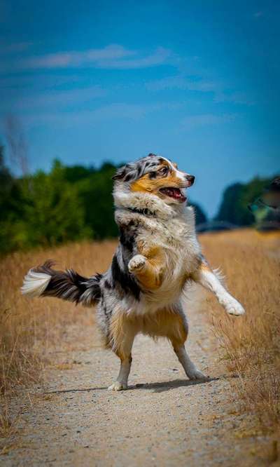 Austausch zur Fotografie-Beitrag-Bild