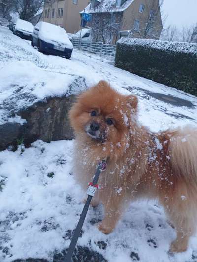 Challenge Nr. 15
Spiel im Schnee-Beitrag-Bild