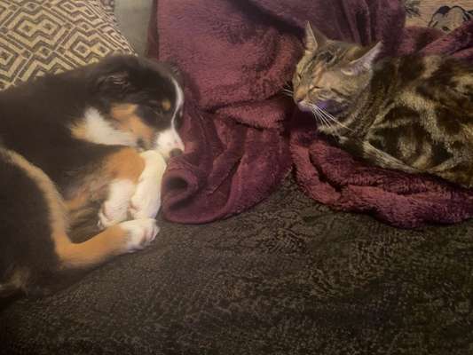 FOTO-Challenge  NR. 91: Die pure Entspannung-Beitrag-Bild