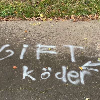 Giftköder-Erneute Giftköderdrohung-Bild