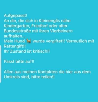 Giftköder-Hund vergiftet-Bild