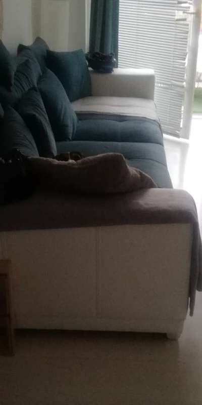 Dogorama Photo Challenge - Tarnung ist alles-Beitrag-Bild