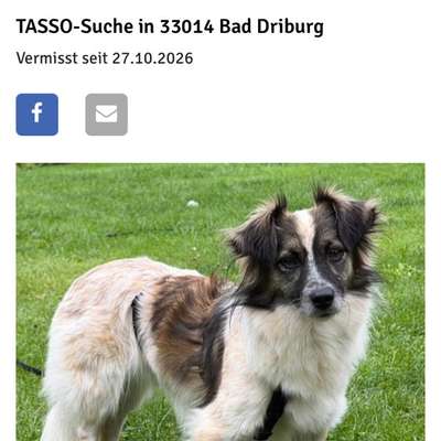Suchmeldung-Ava (Svea)-Bild