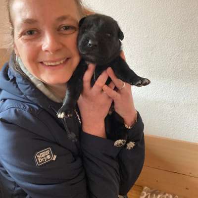 Hundetreffen-Hohenwestedt-Bild