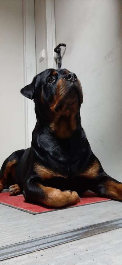 Lieblingsbild-Beitrag-Bild