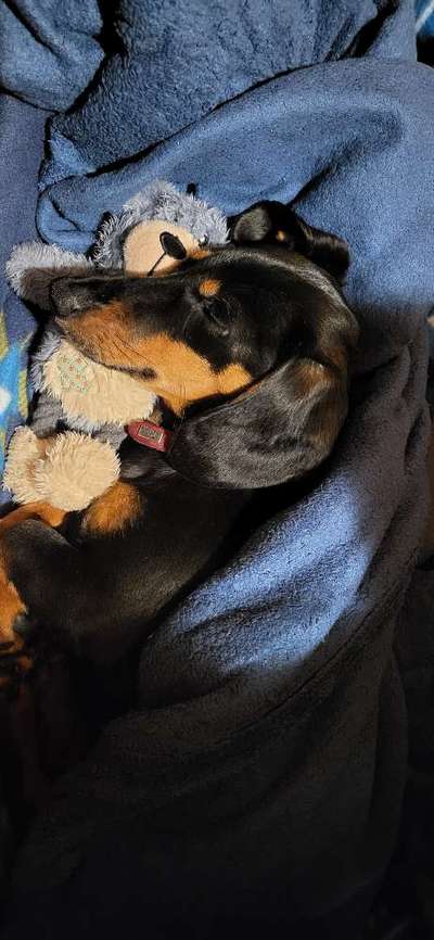 Foto Challenge Nr. 134-Beitrag-Bild