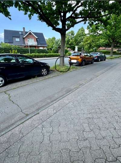 Giftköder-Eichen-Prozessionsspinner-Bild