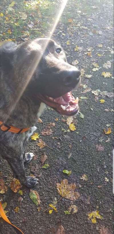 Immer lächeln !-Beitrag-Bild