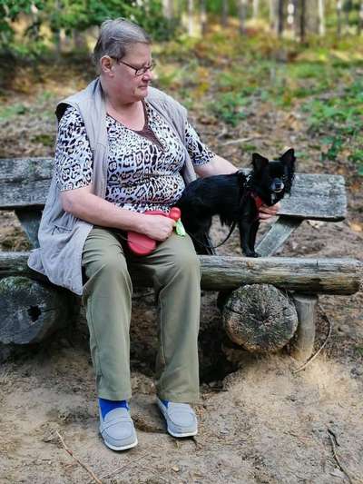 Wo sind die Chihuahua Besitzer ?-Beitrag-Bild