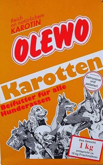 Ernährung-Beitrag-Bild