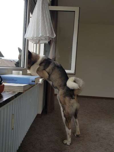 120. Fotochallenge-Beitrag-Bild