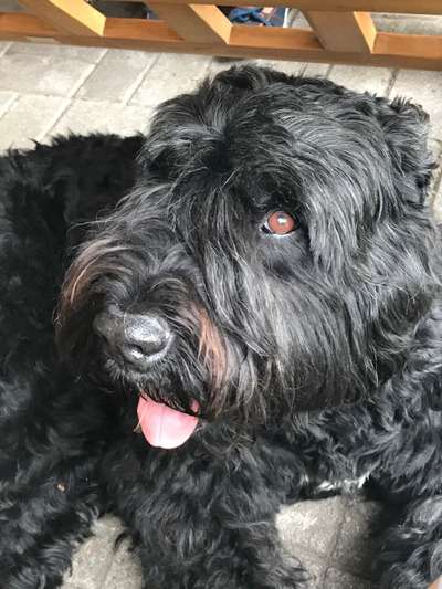 Fotochallange Nr. 57     PORTRÄT.   Beendet!!!!!!!!-Beitrag-Bild