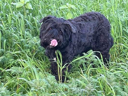 Fotochallenge Nr. 56 - geliebte Senioren-Beitrag-Bild