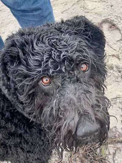 Fotochallange Nr. 57     PORTRÄT.   Beendet!!!!!!!!-Beitrag-Bild