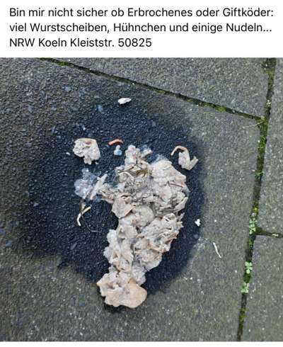 Giftköder-Eventuell Giftköder-Bild