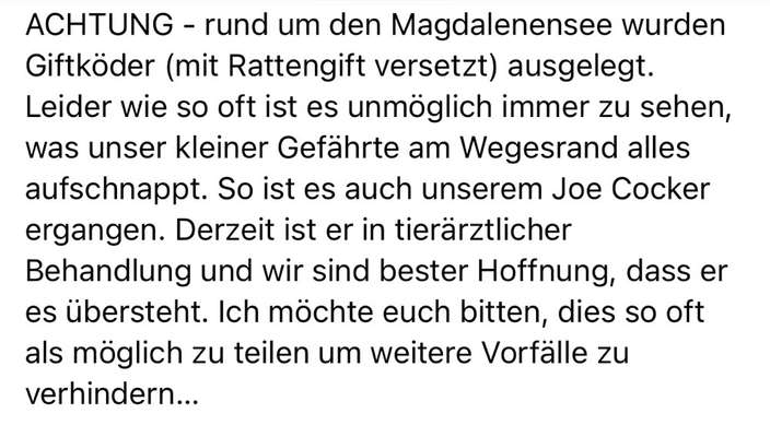 Giftköder-Giftköder mit Rattengift rund um den Magdalenensee-Bild