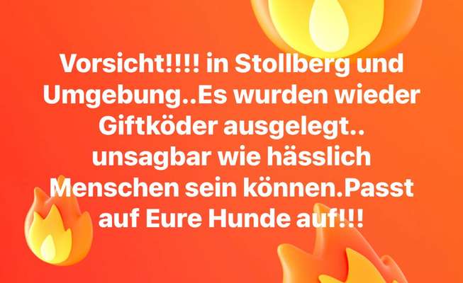 Giftköder-Giftköder in Stollberg-Bild