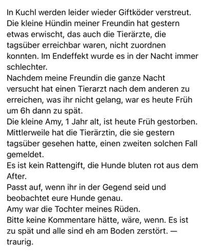 Giftköder-Giftköder in Kuchl-Bild