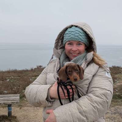 Hundetreffen-Hundespaziergänge-Bild