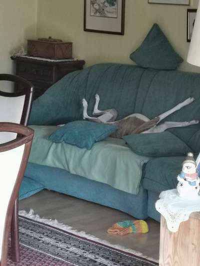 FOTO-Challenge  NR. 91: Die pure Entspannung-Beitrag-Bild