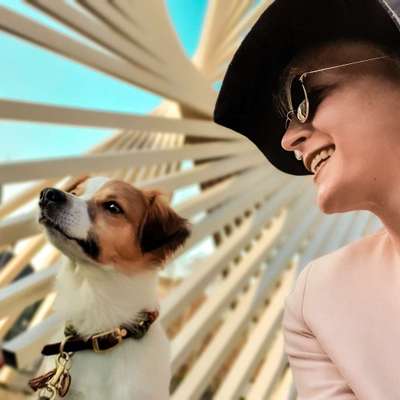 Hundetreffen-Social Walk für Hund und Leinenhalter-Bild