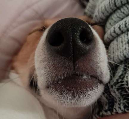 Blick fürs Detail!-Beitrag-Bild