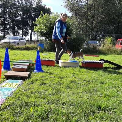 Hundeschulen-Vechtepfoten e.V.-Bild