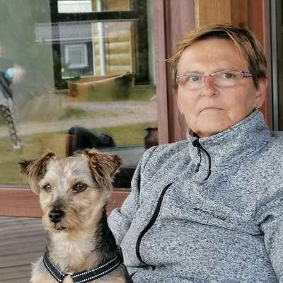 Hundetreffen-Treffen in Jena zwätzen-Profilbild