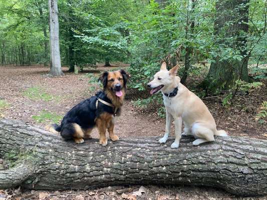 Handyfoto challenge Nr. 13: Waschlappen raus!-Beitrag-Bild