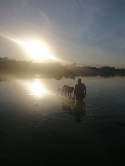 Fotochallenge 37- Sommerfeeling-Beitrag-Bild