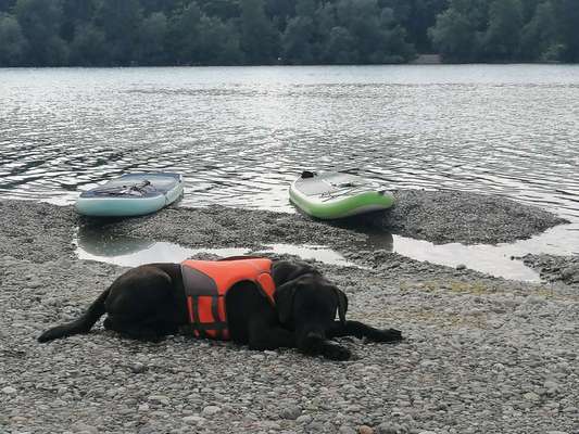 Die Dogorama Wochen Challenge: “Dein Hund im Urlaub”-Beitrag-Bild