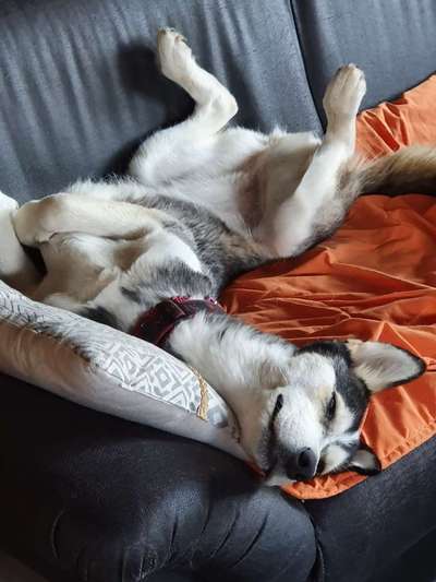 Die unbequemsten und lustigsten Schlafpositionen-Beitrag-Bild