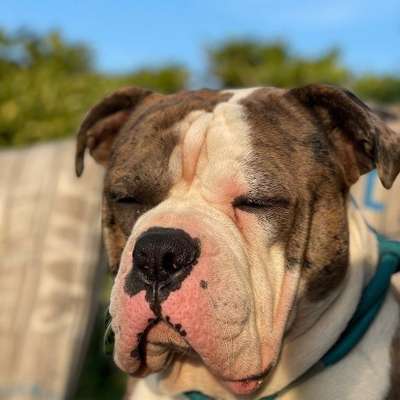 Fotochallange Nr. 57     PORTRÄT.   Beendet!!!!!!!!-Beitrag-Bild