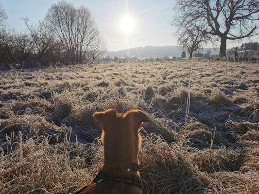 Fotowettbewerb Natur-Beitrag-Bild