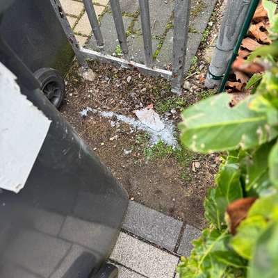 Giftköder-Undefinierbares Pulver-Bild