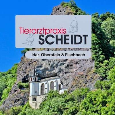 Tierärzte-Hannes Scheidt - Idar-Oberstein-Bild