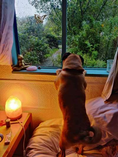 Un...scharf Bilder-Beitrag-Bild