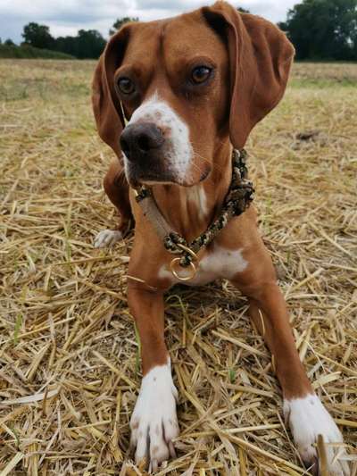 Fotochallange Nr. 57     PORTRÄT.   Beendet!!!!!!!!-Beitrag-Bild