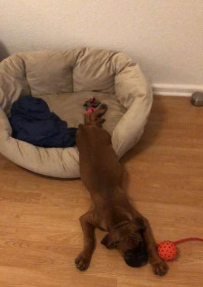 CHALLENGE NR. 34 - Liege-/Schlafpositionen-Beitrag-Bild