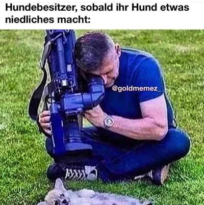 Hunde Memes-Beitrag-Bild