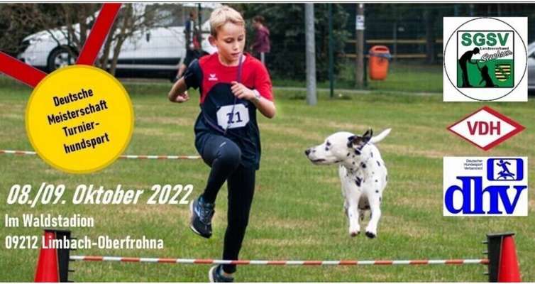 Macht jemand von euch 
Canicross?-Beitrag-Bild