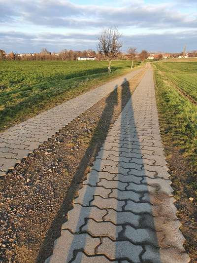 Hundeauslaufgebiet-Feld Runde zwischen Grumbach / Pohrsdorf-Bild