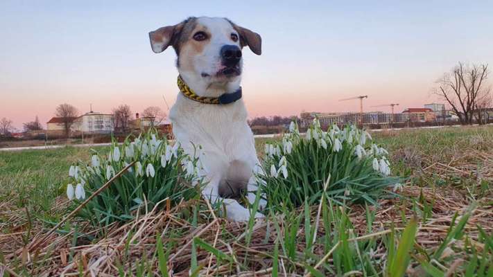 Fotowettbewerb Natur-Beitrag-Bild